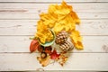 A set of fall materials for children`s creativity and crafts on a wooden table. orange fallen autumn maple leaves and seeds, ceda Royalty Free Stock Photo