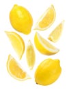 Set of falling delicious lemons on background