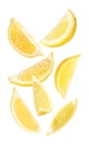 Set of falling delicious lemons on background