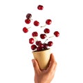 Set of falling ripe cherries. Banner design. Flying fruit as package design element. Royalty Free Stock Photo