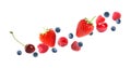 Set of falling sweet berries on background. Banner design Royalty Free Stock Photo
