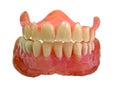 Set of false teeth Royalty Free Stock Photo