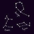 A set of famous constellations. Astrological horoscope symbols on a white background. Vector illustration in doodle style