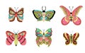 Set of Fantastic Tropical Butterfly Insects vector