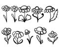 Set of fantasy flowers in doodle style, hand drawn flowering plants for cards, design or coloring creation pages Royalty Free Stock Photo