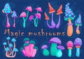Set of fantasy neon mushrooms on blue background. Cartoon magic mushrooms. Royalty Free Stock Photo