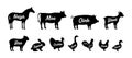 Set of farm animal silhouettes. Neigh, Moo, Oink, Bleat, Baa, Squeak, Gobble, Honk, Cock-a-doodle-doo, Cluck, Quack - Royalty Free Stock Photo