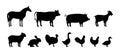 Set of Farm animal silhouettes. Pig, Horse, Turkey, Goat, Sheep, Chicken, Rooster, Duck, Rabbit, Goose, Cow black Royalty Free Stock Photo