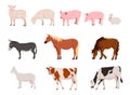 Set of farm animals. Country pet. Isolated character on a white background. Vector illustration in a flat style. Royalty Free Stock Photo