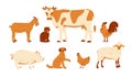 Set of farm animals. Cow goat sheep cat dog rooster chicken pig. Vector illustration in flat cartoon style. Isolated on Royalty Free Stock Photo