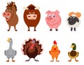 Set of farm animals front view.