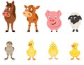 Set of farm animals front view.