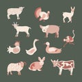 Set farm animals Royalty Free Stock Photo