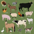 Set of farm animals icons. Flat style design Royalty Free Stock Photo