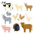 Set farm animals isolated on white background. Different kind animal,cow, bull, sheep, goat, rabbit, donkey, pig, hen, duck, Royalty Free Stock Photo