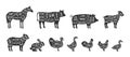 Set of farm animals scheme cuts. Pig, Horse, Turkey, Goat, Sheep, Chicken, Rooster, Duck, Rabbit, Goose, Cow cuts of Royalty Free Stock Photo