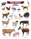 Farm animals vector Royalty Free Stock Photo