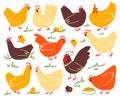 Set of farm birds. Vector doodle chicken. Illustration