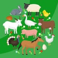 Set of farm domestic animals round pattern vector illustration. Collection of cute pet animal. Cartoon cow and horse Royalty Free Stock Photo