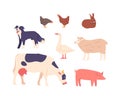 Set of Farm Domesticated Animals Icons Cow, Pig, Sheep And Chicken, Dog or Rabbit on Farmyard. Meat, Milk, Or Eggs Royalty Free Stock Photo