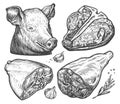 Set of farm meat cuts. Beef steak, ham, bacon, pig head. Food concept. Hand drawn sketch illustration