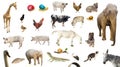Set of farm wild and domestic animals
