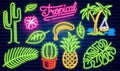 Set of fashion neon sign. Cactus and pineapple, tropical plants, palm trees and leaves. Night bright signboard, Glowing Royalty Free Stock Photo