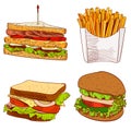 Set of fast food hand drawn VECTOR illustration on blue background. Fries, sandwich, burger.