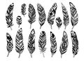 Set feather abstract isolated decoration. Boho rustic style.