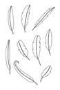 Set of feather on white background.vector illustration. Royalty Free Stock Photo