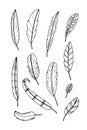 Set of feather on white background.vector illustration. Royalty Free Stock Photo