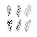 Set of feathers. Boho tribal style.