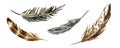 A set of feathers for decorating characters of prehistoric eras.