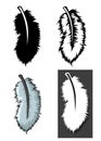 Set of Feathers types with different concept Royalty Free Stock Photo