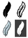Set of Feathers types with different concept Royalty Free Stock Photo