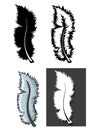 Set of Feathers types with different concept Royalty Free Stock Photo