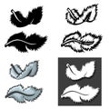 Set of Feathers types with different concept Royalty Free Stock Photo