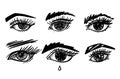 Set female eye with eyelashes and eyebrows, black and white vector sketch Royalty Free Stock Photo