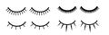 Set of female eyelashes