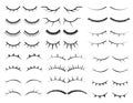 Set of female eyelashes