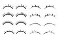 Set of female eyelashes