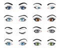 Set of female eyes and brows image