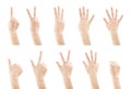 Set female hands gestures making a numbers