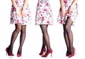 Set female legs in black stockings and red high heel shoes Royalty Free Stock Photo