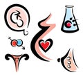 Set of female and prenatal related medical icons