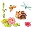 Set of feng shui symbols. Watercolor illustrations of lotus, mas