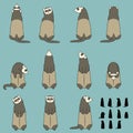 Set of ferret sitting poses