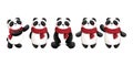 Set of festive watercolor cute baby panda with red scarves illustrations. Christmas animals decorationst Royalty Free Stock Photo