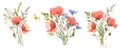 Set of fied flowers bouquet. Watercolor botanical illustration, wild flowers bouquet with poppies, cornflower, and Royalty Free Stock Photo