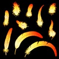 Set fiery feathers of rooster or phoenix Royalty Free Stock Photo